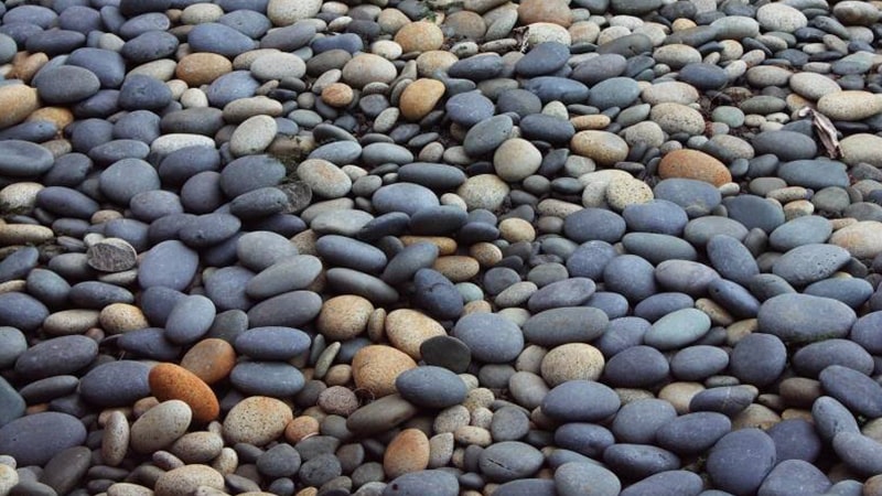 سنگ قلوه چیست و چند نوع دارد؟